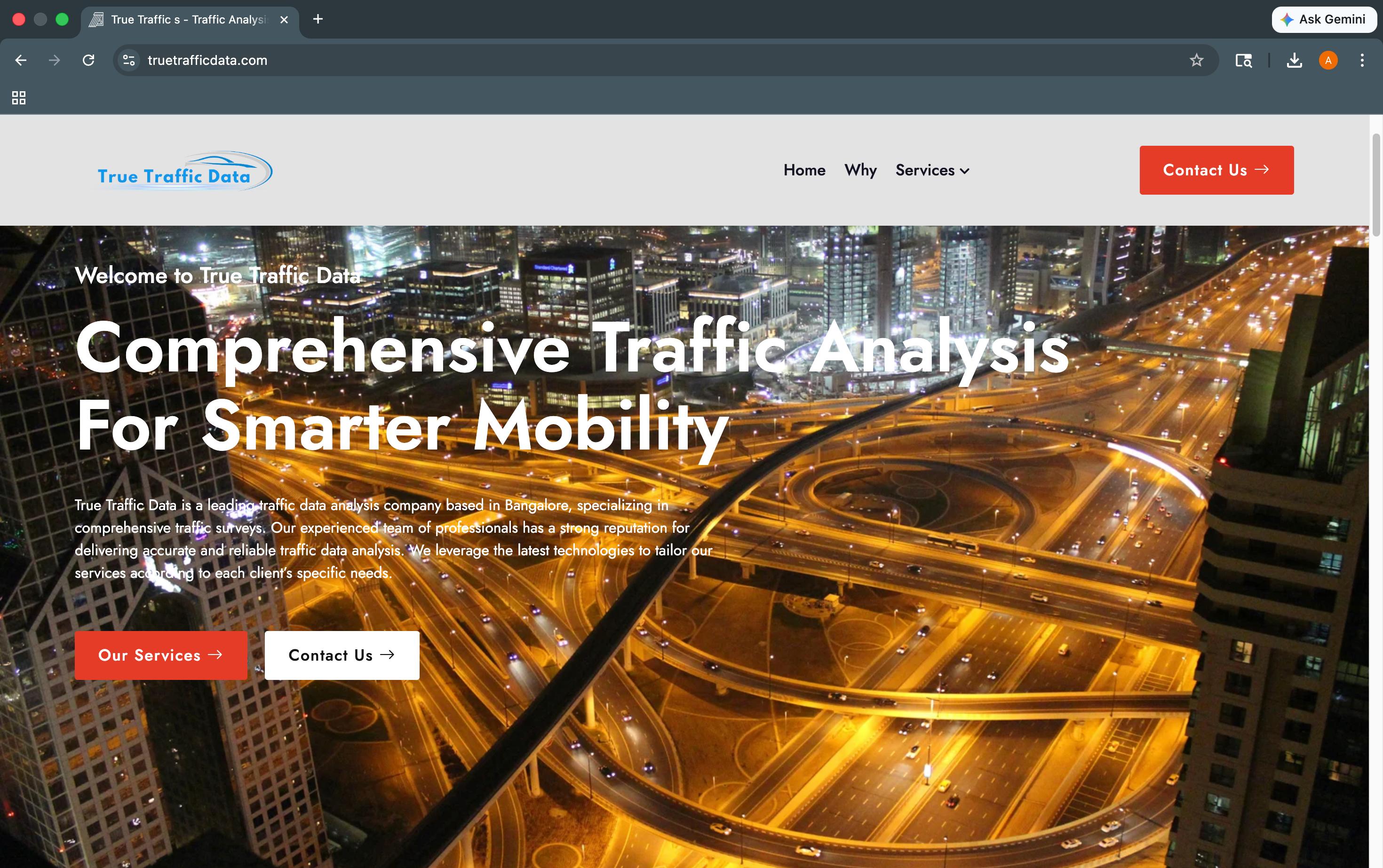 truetrafficdata.com website preview