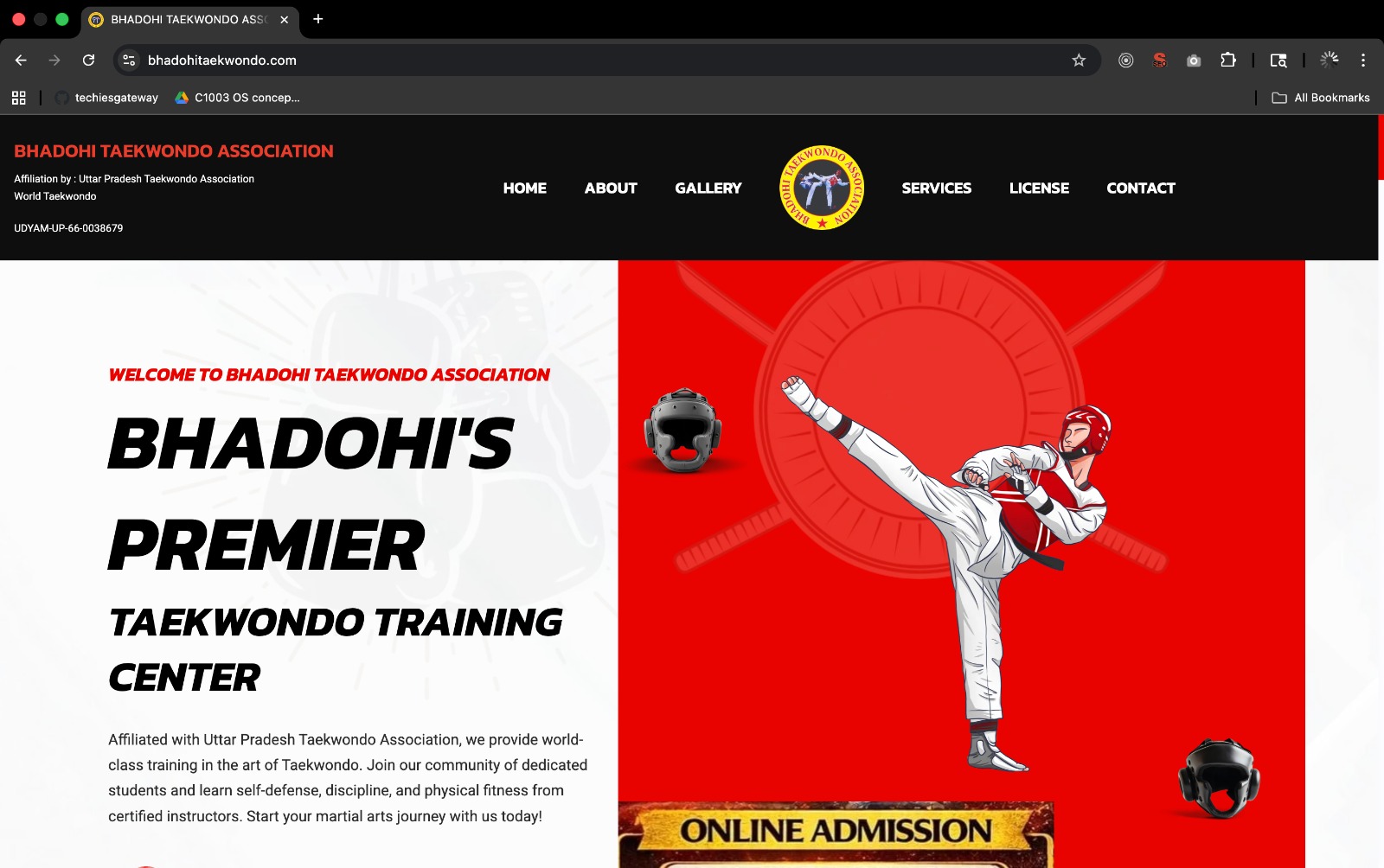 bhadohitaekwondo website preview